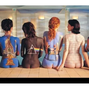 Acheter Direct Pink Floyd: Back Art Funky Chunky Magnet