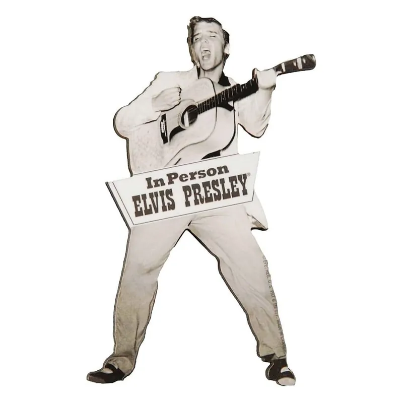Elvis: Tupelo Funky Chunky Magnet Top Vente
